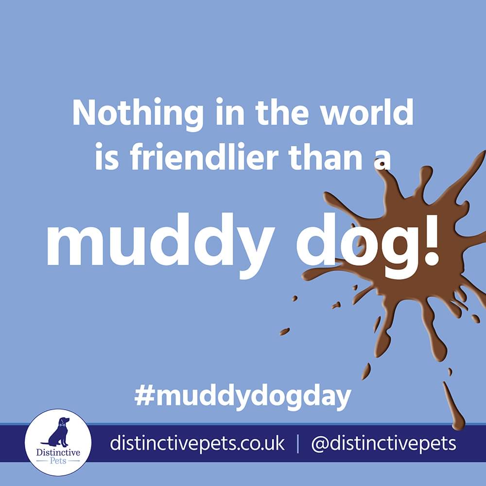 DecorumDog's tweet photo. It is Muddy Dog Day 2022, show us your muddy dogs ππΎπ₯°
@DistinctivePets
#MuddyDogDay #muddydogs #muddypaws https://t.co/8g8VFsrPAR