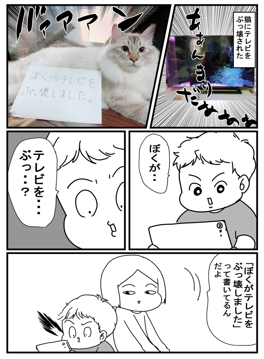 猫に激甘な一年生 