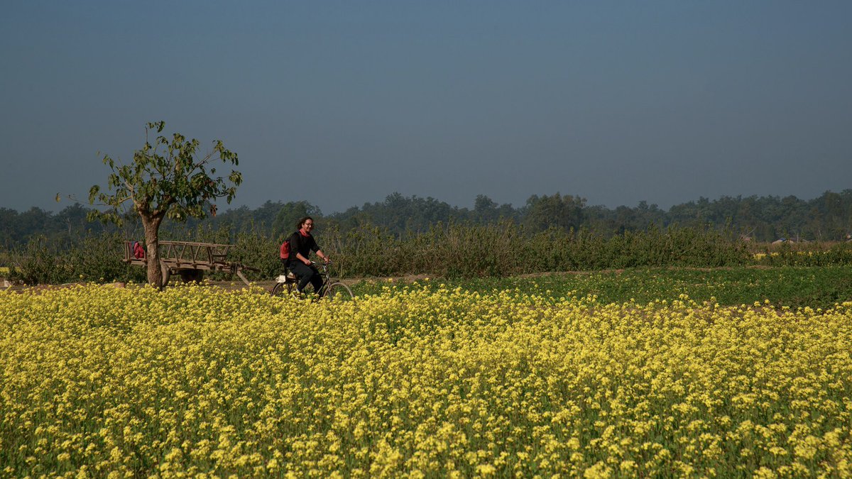 Gorakhbista's tweet photo. फेरी तराइ गएर साइकल चलाउने हो । 
#Cycle https://t.co/YRLn09570X