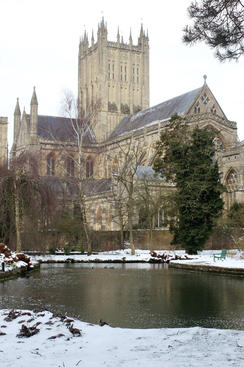 Just a reminder that from Sunday, October 30th, we will be returning to winter opening hours

The Bishop's Palace &amp; Gardens will now open from 10am until 4pm, with last entry at 3.30pm

The Bishop’s Table Café will be open to the public from 9.30am until 4pm; last orders at 4pm