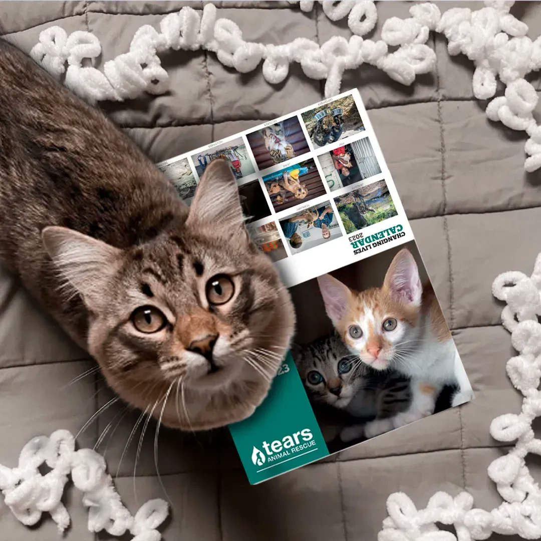 TEARSwelfare's tweet image. They're here!

We would like to extend a huge thank you to @thependatrust who dedicated three NPO Photographers, Loume Visser, Masato Kimathi and Anna Lusty, and publication designer, Robin Yule.

tears.org.za/product/tears-…