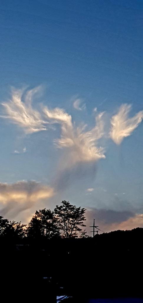 비상~

날자
날아보자
세상끝까지~