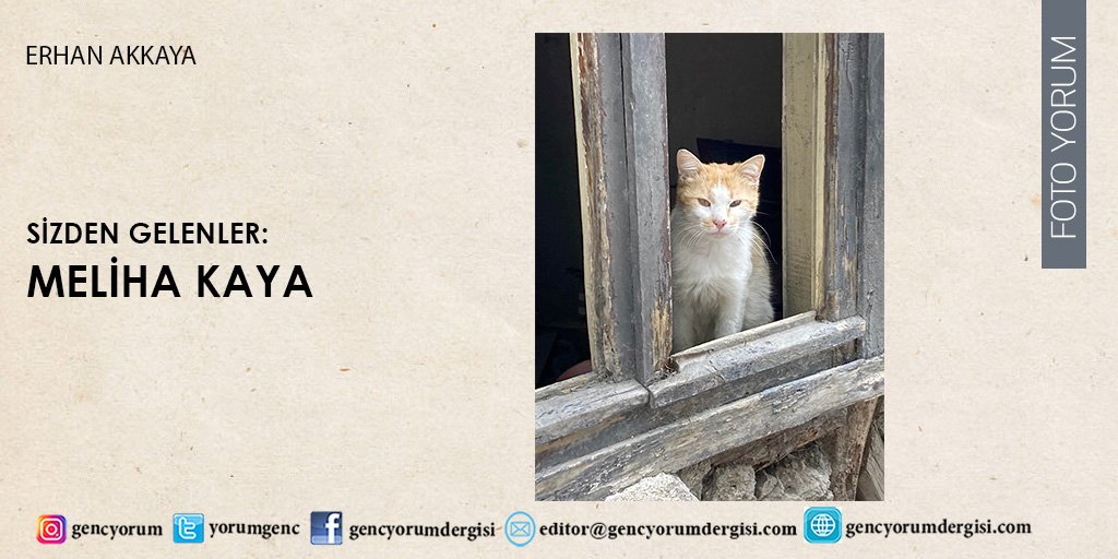 YorumGenc's tweet photo. Foto Yorum sayfamızda sizden gelen fotoğrafları yayınlamaya devam ediyoruz...
https://t.co/t79kFiK10t
Editör: Erhan Akkaya
#dergi #gencyorum #fotoyorumgencyorum #fotograf #fotografci https://t.co/gfZIonp7Fn