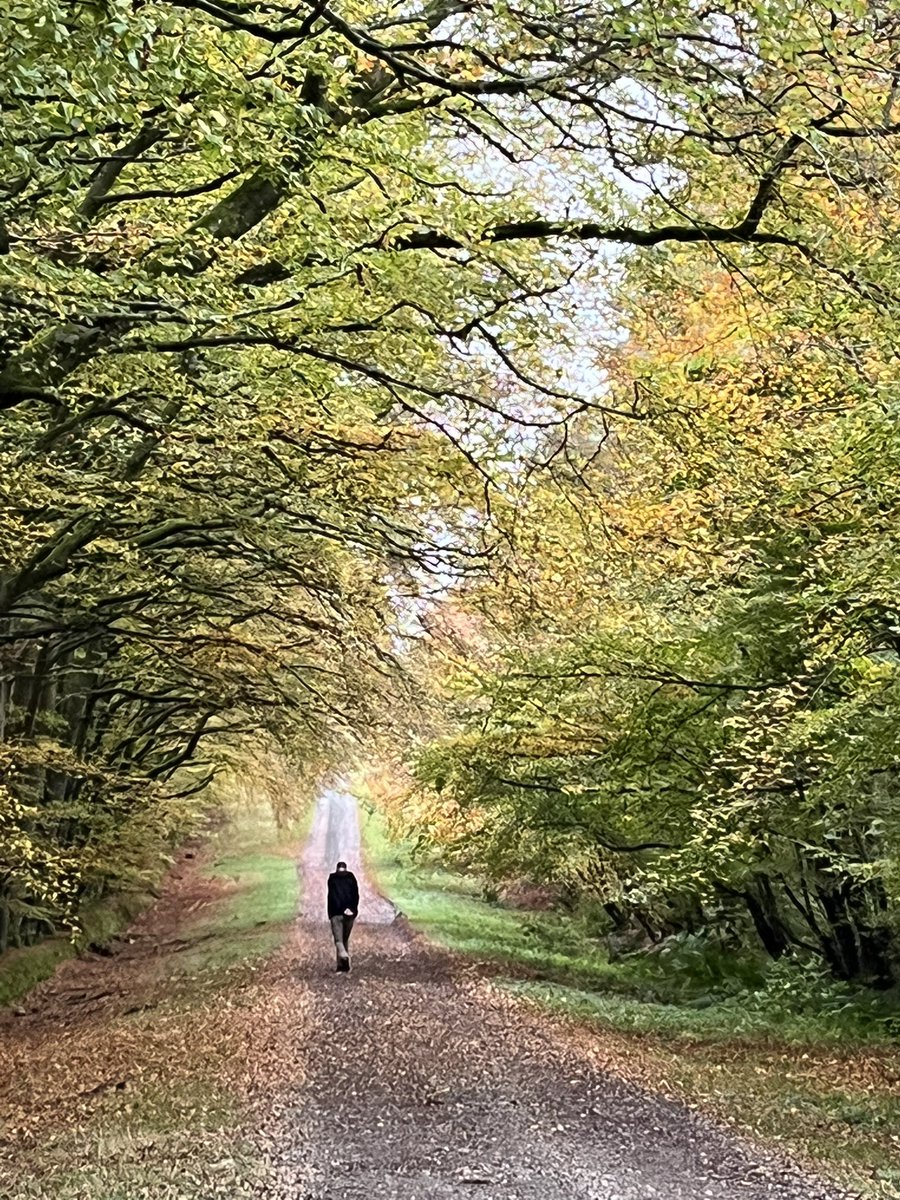 Good morning everyone ! Just outside #Glasgow #DumfriesHouse