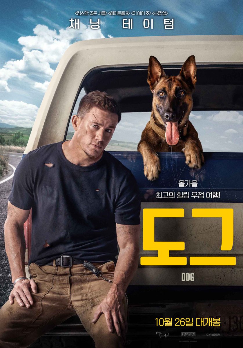 영화 <도그>. 참전 후 외상후 스트레스장애를 겪는 특수부대원 잭슨(채닝 테이텀)과 군견 룰루의 교감의 2,400km 여정. 심오한 척 하지 않고 가만히...
