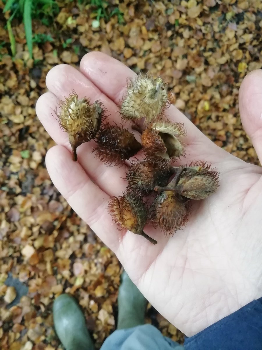 Joe Crossland tweet media