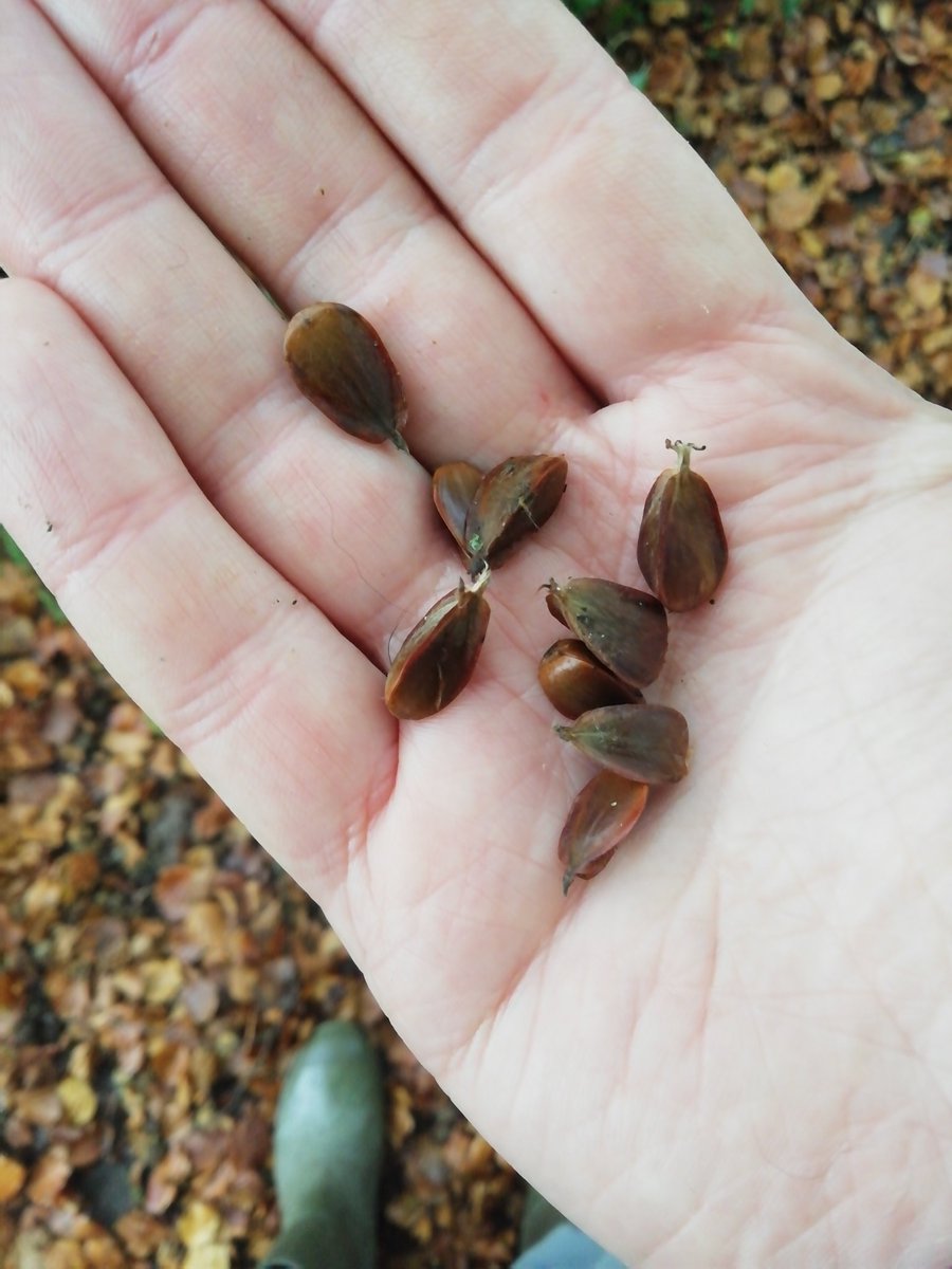 Joe Crossland tweet media