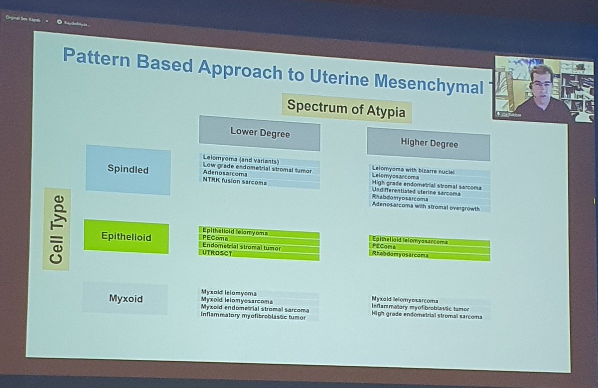 DrSultanClskn's tweet photo. An another excellent and impressive presentation about uterine mesenchymal tumor, by Dr Joseph Rabban 🤩 #gynpath #pathology #TCPİzmir22 #josephrabban #nationalpathologycongress @MehmetKefeli @Usubutun @drbyp2 @FatmaNrksknuygn @dreylulgun @sumeyra_md @seyma_buyucek @glinglerimek https://t.co/CxhFCwtEAG