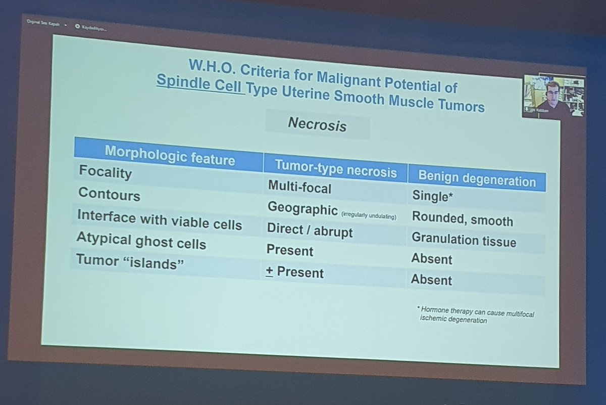 DrSultanClskn's tweet photo. An another excellent and impressive presentation about uterine mesenchymal tumor, by Dr Joseph Rabban 🤩 #gynpath #pathology #TCPİzmir22 #josephrabban #nationalpathologycongress @MehmetKefeli @Usubutun @drbyp2 @FatmaNrksknuygn @dreylulgun @sumeyra_md @seyma_buyucek @glinglerimek https://t.co/CxhFCwtEAG