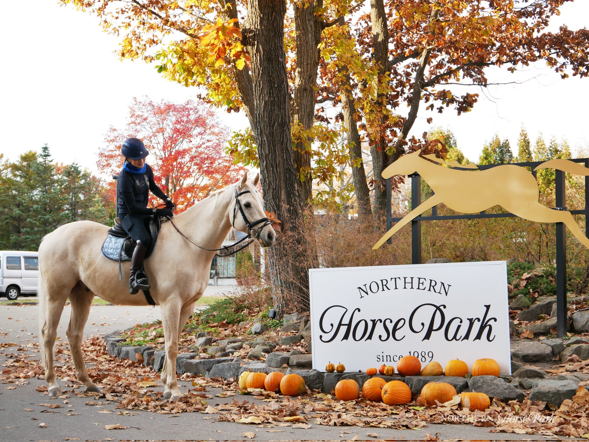 ノーザンホースパーク Northern Horse Twitter