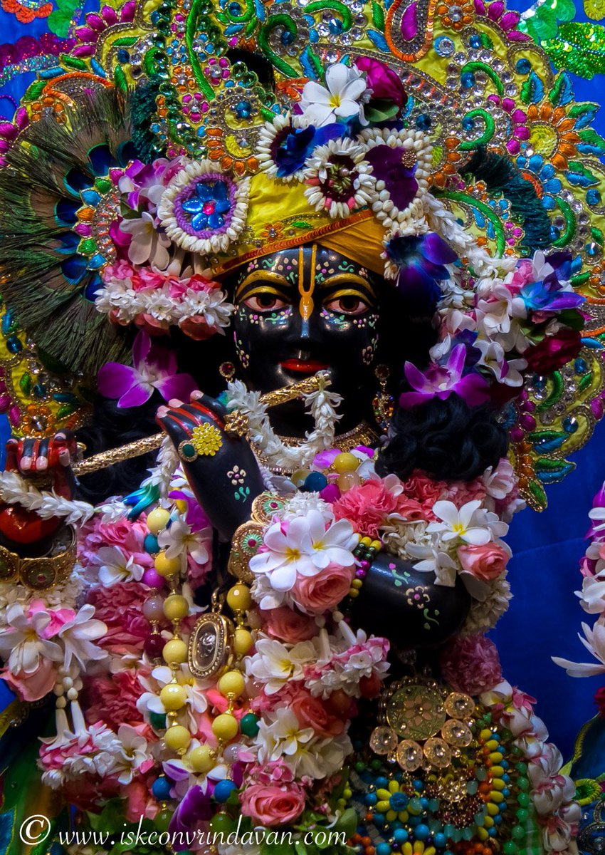 GaurangaDas's tweet photo. One moment you feel so stressed, and the other moment you feel fine.

Just because you prayed, you took the Lord's name.
That's the magic of chanting.

#harekrishna #krishnaconsciousness #krishnaleela #lordkrishna #krishnaradha #radhakrishna #iskcon https://t.co/9denPnJ5lz