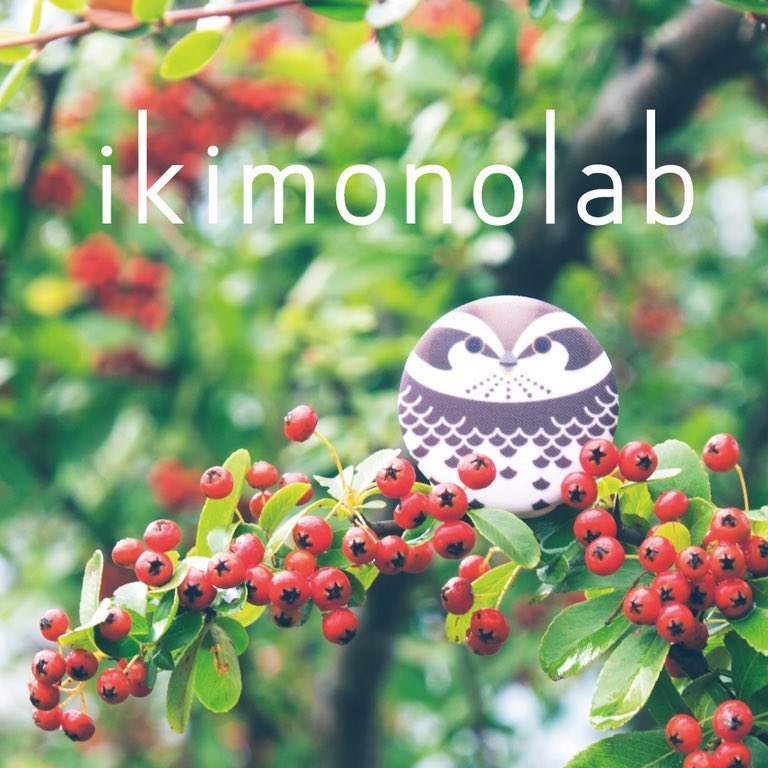 ikimonolab's tweet photo. 【お知らせ】
11月の5、6日に、千葉県我孫子市の手賀沼で開催されているジャパンバードフェスティバルに出展いたします。
どうぞよろしくお願いいたします。
#JBF2022 https://t.co/gkESWNxHwv