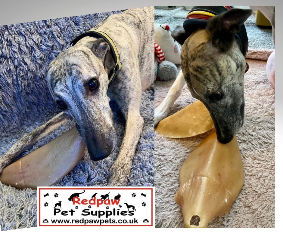 Devon &amp; Darwin are very happy to be testing out these delicious natural pigs ear dog treats, 100% premium British pork. 

Great for dental health, theHypoallergenic, packed with protein. 
What’s more is they are much lower in odour and much longer lasting than regular pigs ears