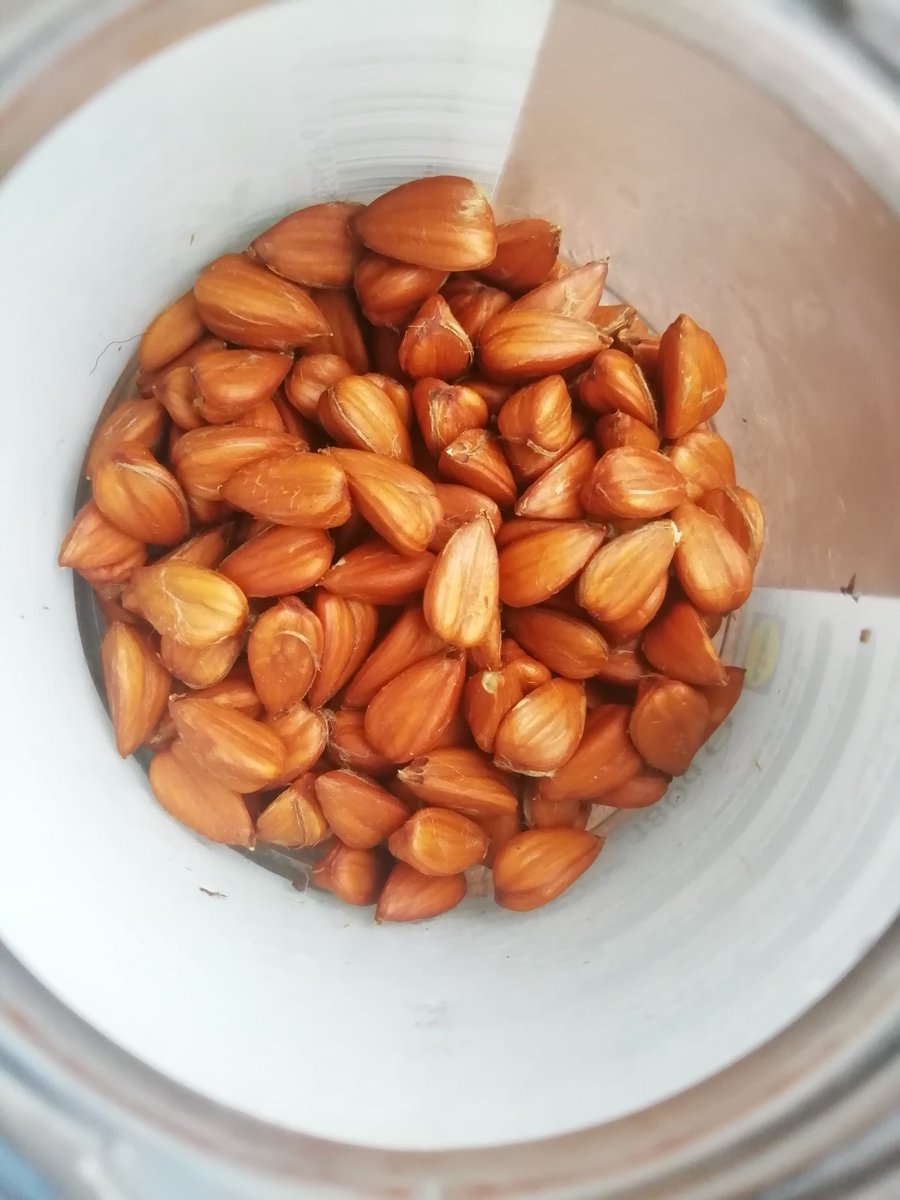 Joe Crossland tweet media