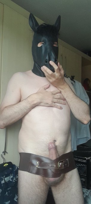 I need a bit more fun in my life 😜 https://t.co/GLc8RnI4pr<a href="/tag/pmforpm"class="tags"><span>#pmforpm</span></a>