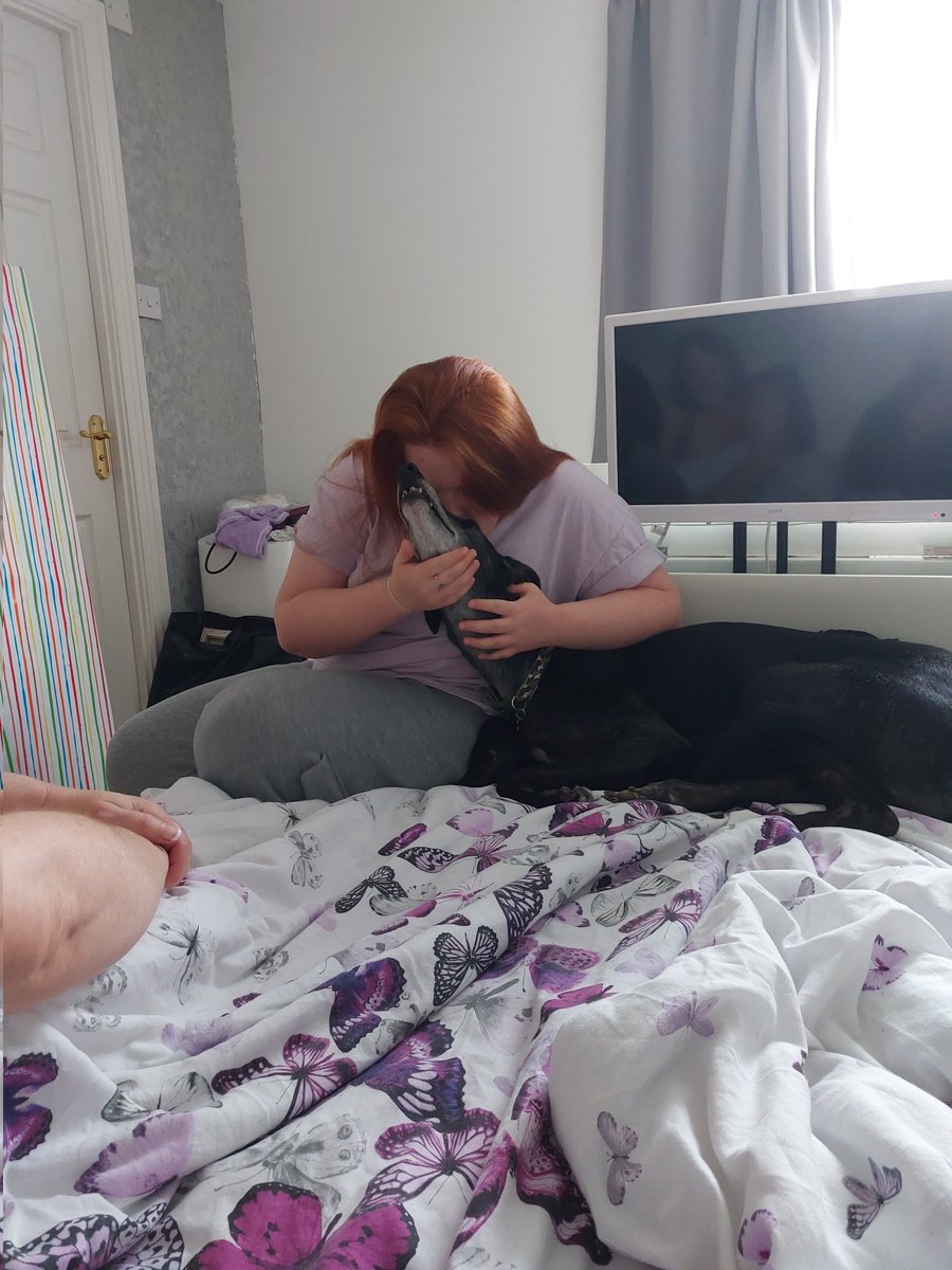 Ti's the smallest humoon 16th birthday. Love the singing and the hugs 🐶🎂