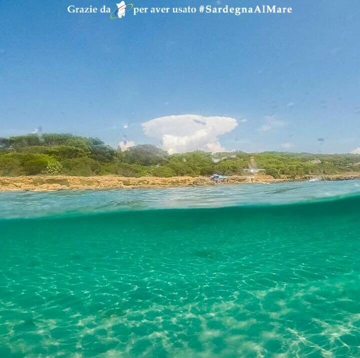 SardegnaAlMare's tweet photo. From https://t.co/EqygCc0KOy
Colori Spiaggia Dei Francesi, Carbonia 🎨 🤩 🏖 # SardegnaAlMare #spiaggia #sardegna #sardinia #ichnusa #spiaggiadeifrancesi #santannaarresi #teulada #spiaggiaditeulada #igerteulada #instateulada #volgoTeulada #isolaTuerredda #tuerreddabeach #capot… https://t.co/Si5cYDj9jb