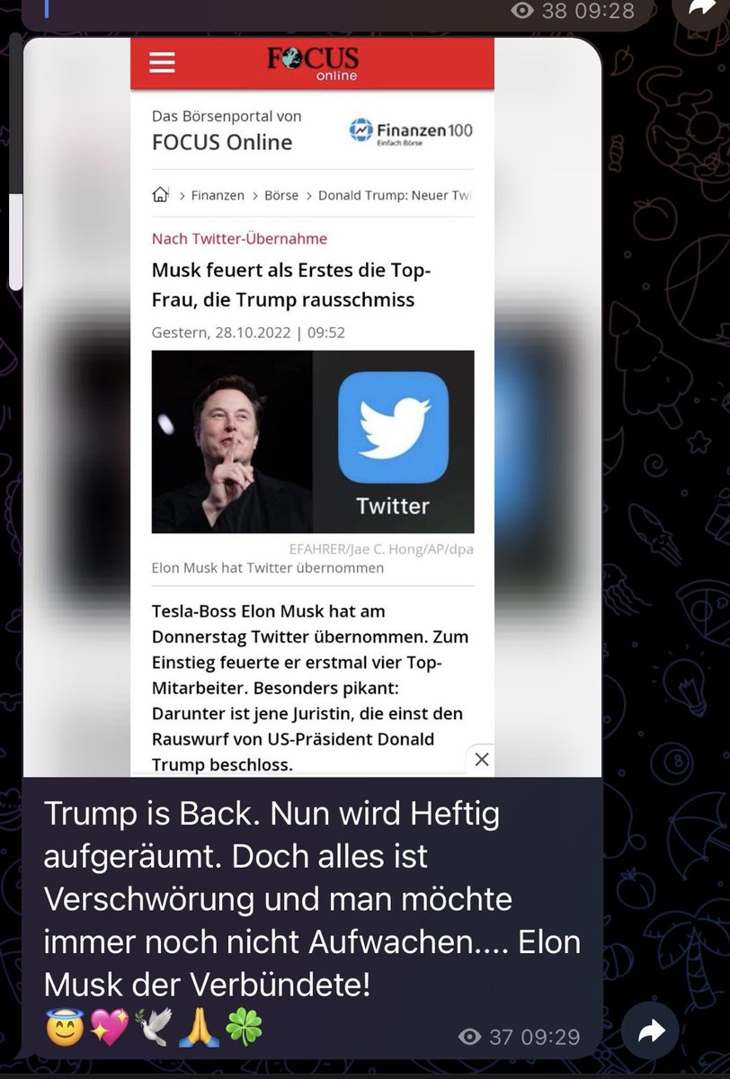 deathofanicon's tweet photo. Covidiot MenschRoger feiert Musk als „ihren Verbündeten….. https://t.co/zc81TC6f5q