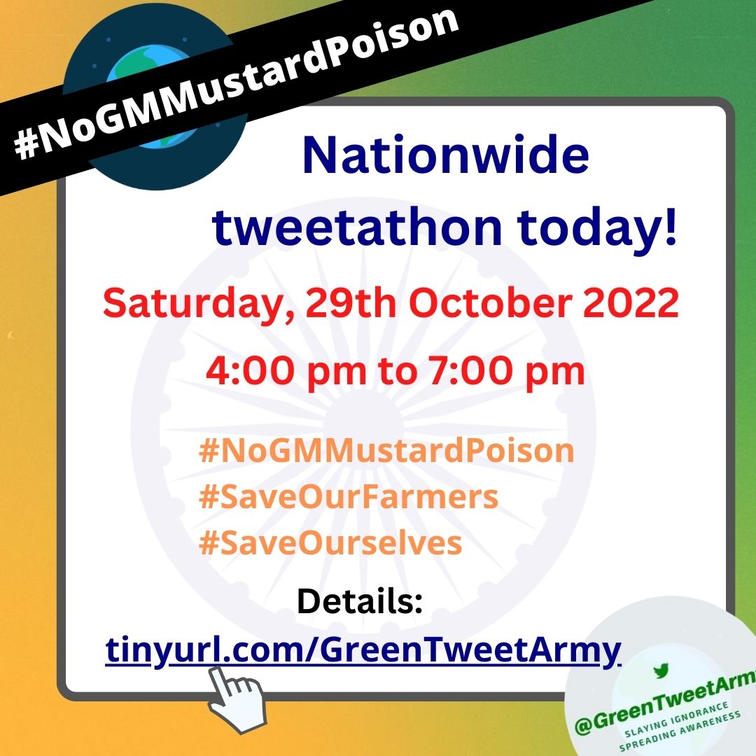 Please join Nationwide Twitter Storm Today 4 PM - 7 PM Hashtags: #NoGMMustardPoison #SaveOurFarmers Additional: #SaveOurselves Pls tag: @PMOIndia @narendramodi @moefcc @byadavbjp Tweetathon Guide: tinyurl.com/GreenTweetArmy Let's Save our Food Chain from destruction!