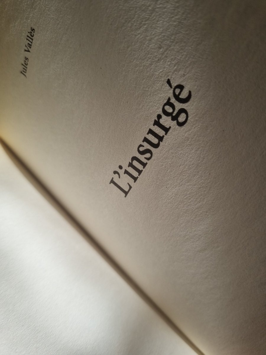 LeilaSiri's tweet photo. N'ayant l'habitude de lire que des romans policier j'ai décidé de tenter un nouveau style 😅 des avis ? #julesvallès #Roman #littérature https://t.co/HWCkkCfXB5