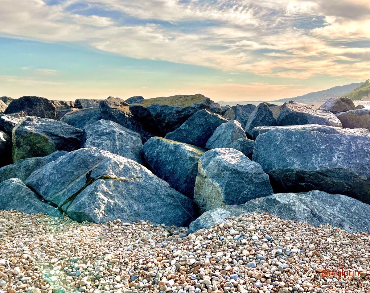 Malcolm Prince tweet media