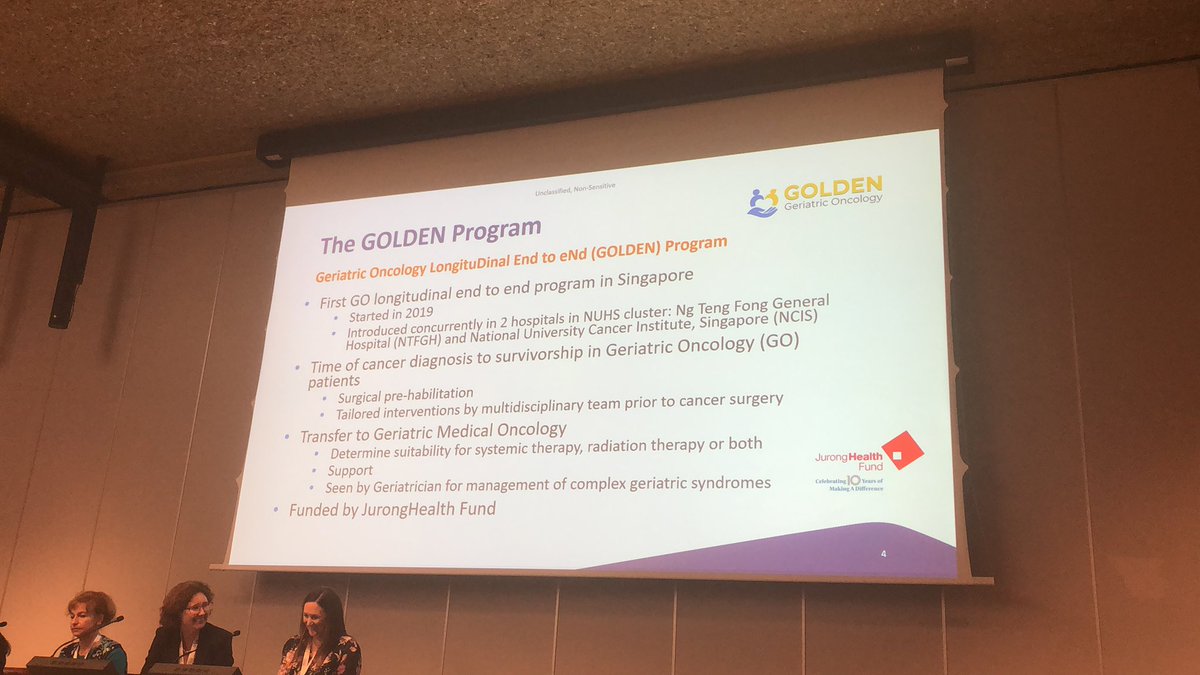 SPilleron's tweet photo. Dr Joey Chien is talking about Pharmacy in Geriatric Oncology: Peeling off the Layer of Complexity Caused by Drug Related Problems 

#siog2022 https://t.co/RY6gMWUlwr