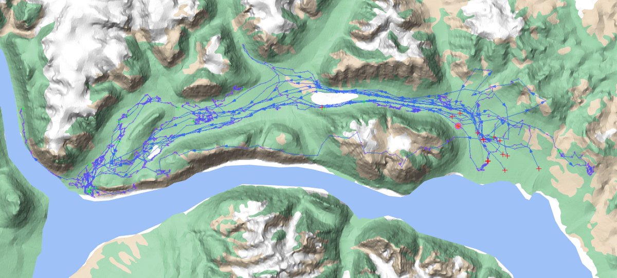 Lars_Holst's tweet photo. Have been testing the Live Feed from the #Vectronic Aerospace Inventa Portal to #Movebank. So cool to have the latest position stream to movebank automatically ;)
#muskoxen #movementecology https://t.co/DcXm1ybzen