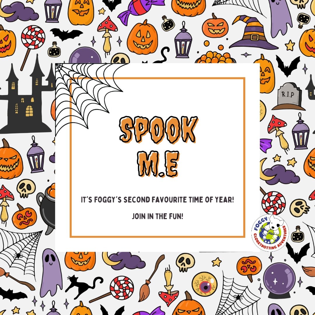 MEFoggyDog's tweet photo. Foggy has been ready for #SpookME for a few days. He has been sat on the bookcase like this since Weds 👇
*Foggy* Not taking it off.
We've loved seeing msgs from #pwME with preview pics of how you are going to take part!!
Spook M.E info- https://t.co/8isOcYLRVs
#pwME #MEcfs https://t.co/F1MVieByER