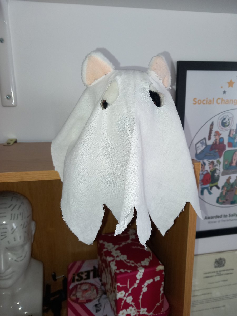 MEFoggyDog's tweet photo. Foggy has been ready for #SpookME for a few days. He has been sat on the bookcase like this since Weds 👇
*Foggy* Not taking it off.
We've loved seeing msgs from #pwME with preview pics of how you are going to take part!!
Spook M.E info- https://t.co/8isOcYLRVs
#pwME #MEcfs https://t.co/F1MVieByER