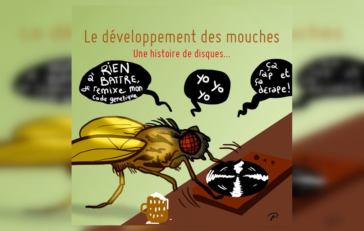 pierrekerner's tweet photo. Le saviez-vous ? J'ai mis la bibliographie de "L'Odyssée Évolutive" en libre accès sur #SSAFT https://t.co/K4lN7cqK0k https://t.co/dhYWTzSsGR