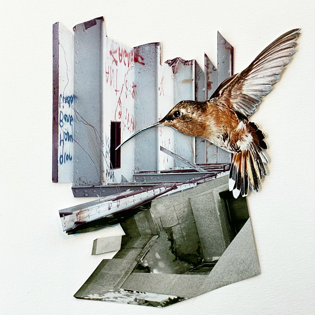 moif_collage's tweet photo. ‘The trochilidae in the debris…’

For @thecollageclub a few weeks back…

#collage #handcutpaper #hummingbird #cutandpaste https://t.co/YQRrYUHu4J