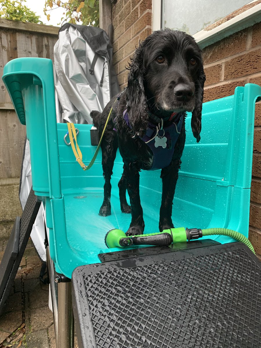 Kim O’Donnell tweet media