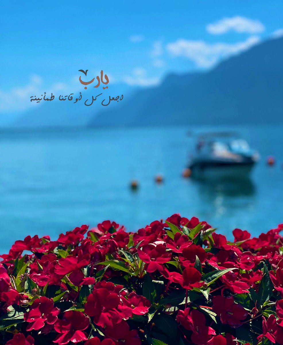 Huda🌸 tweet media