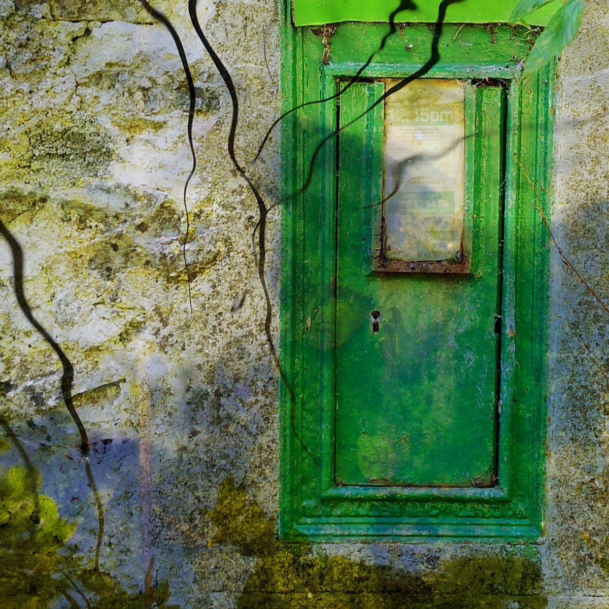 dlrArts's tweet photo. Have you seen Nasrin Golden’s photographic work responding to the idea of Local Radicles, our Autumn/Winter 2022 theme?
Feeling inspired? Contribute your art tagged with #dlrLens and #dlrLens_LocalRadicles
@dlrcc @dlrLexIcon @artnetdlr https://t.co/6RkW1wjHwh