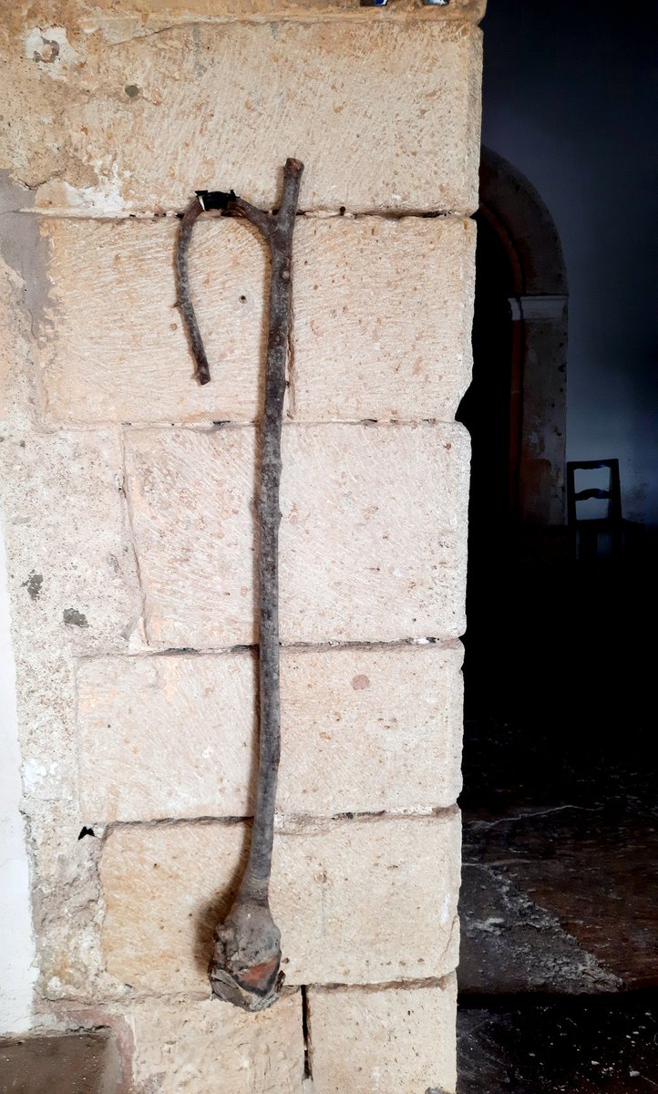 rperellob's tweet photo. Paraules mallorquines desconegudíssimes.
Garrot matamoros. https://t.co/KyNpa72QVT