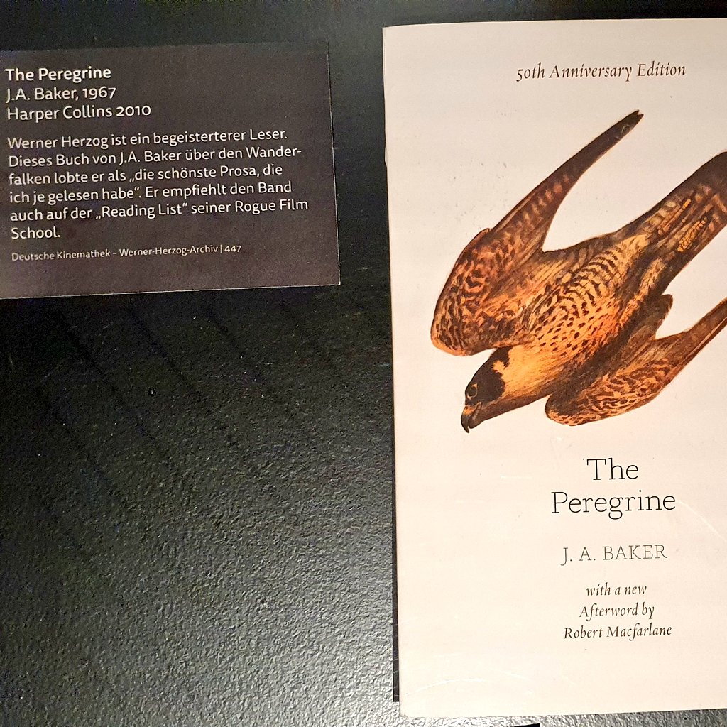 si_schr's tweet photo. Nature Writing Fundstück in der Werner Herzog Ausstellung in @de_kinemathek J.A. Baker, The Peregrine -- one of Herzog's favourites. https://t.co/Kqs2KECGM1