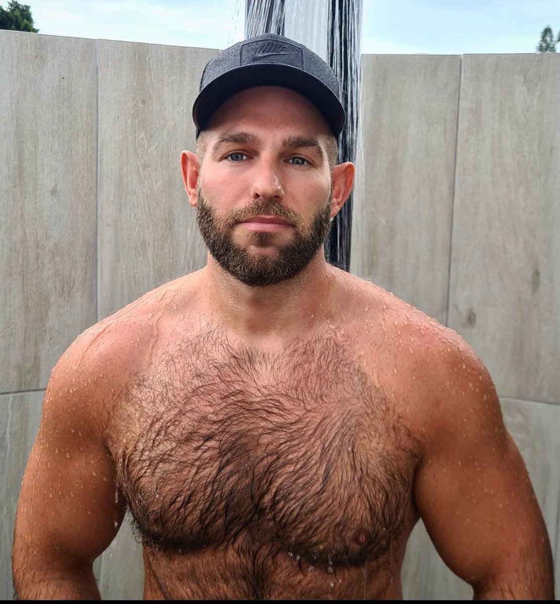 blackburn barrier seat fender