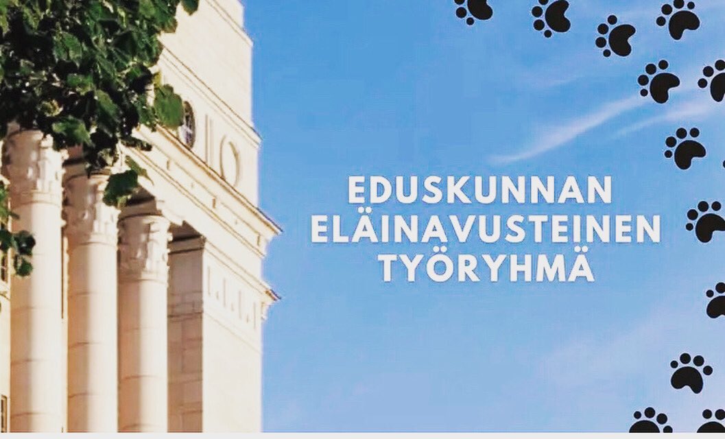 MarjaanaRa's tweet photo. Kiitos @VirtaSofia mahdollisuudesta olla mukana Suomen eduskunnan eläinavusteisen työryhmän asiantuntijajäsenenä - vaikuttamassa eläinavusteisen toiminnan kehitykseen 💚 #eläinavusteinen #eläimet #eduskunta #soteakatemia #yhteistyö https://t.co/8yILvQQ6k3