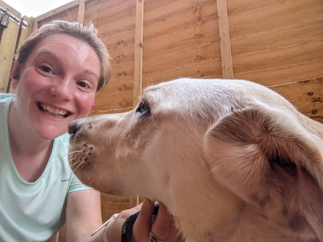 LBerry61's tweet photo. 5km run, longest to date for this gorgeous doggo this morning. https://t.co/cVPXVlbtk4