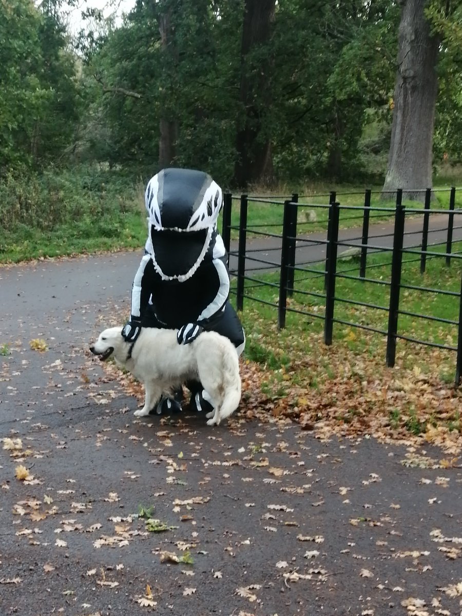 Mortified Rex (@mortifiedrex) on Twitter photo Must remember to feed Petrified Rex before she helps out at <a href="/MoteParkpkrun/">Mote Park parkrun</a> next time #happyhalloween2022 Must remember to feed Petrified Rex before she helps out at <a href="/MoteParkpkrun/">Mote Park parkrun</a> next time #happyhalloween2022