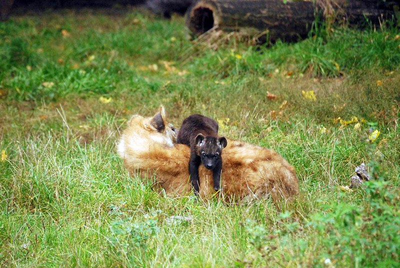 HourlyYeen's tweet photo. https://t.co/P5k8VmOa3b