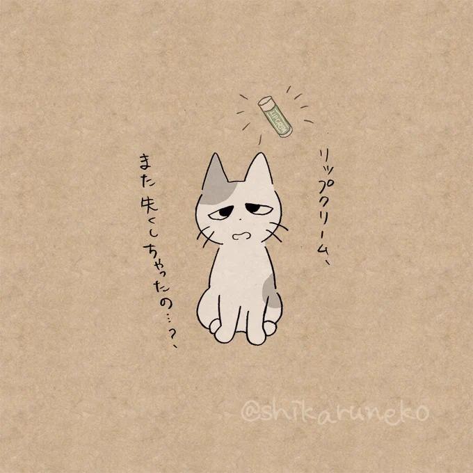 リップクリームを買うたび失くす人と、うれうねこと、あまやかすねこと、しかるねこ 