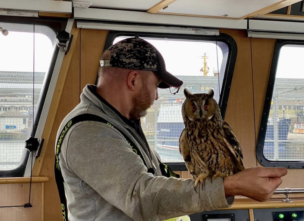 buddingrose418's tweet image. Thought l would share this good news story !! Well done to the crew of the #peterhead fishing vessel Benarkle for saving this owl that landed on their boat . They fed it and took it  ashore and the Huntly falconry centre nursed it back to good health  #rspb #birds #scotland