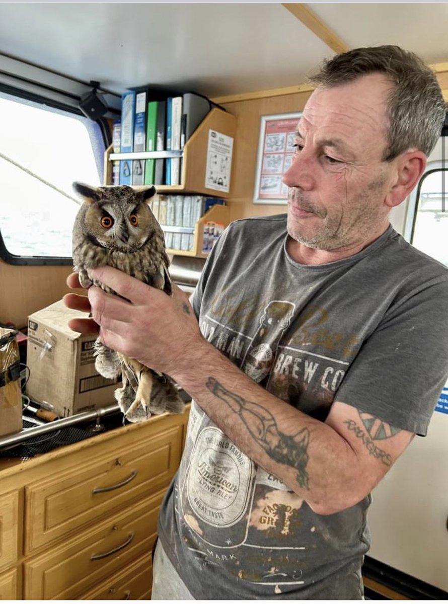 buddingrose418's tweet image. Thought l would share this good news story !! Well done to the crew of the #peterhead fishing vessel Benarkle for saving this owl that landed on their boat . They fed it and took it  ashore and the Huntly falconry centre nursed it back to good health  #rspb #birds #scotland