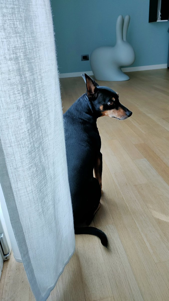 Giaco08107254's tweet photo. Due 🐇🐇🐇🐇 https://t.co/90WdGpmEpK