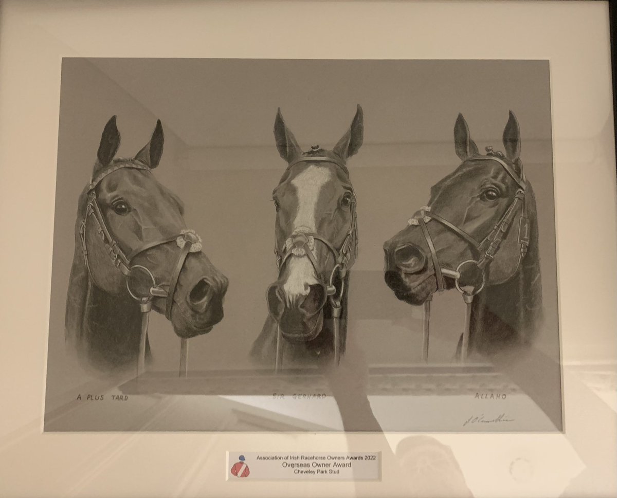 CPStudOfficial's tweet photo. Cheveley Park Stud @CPStudOfficial would like to thank The Association of Irish Racehorse Owners @AIRO_owner for a wonderful evening @CashelPalace and thank @IREthoroughbred for their sponsored Leading Overseas Owner Award. We are so proud of all the boys. https://t.co/YvSiW6Oknp