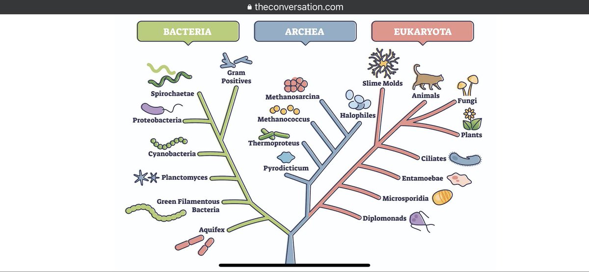 WhenFishBeginToCrawl tweet media