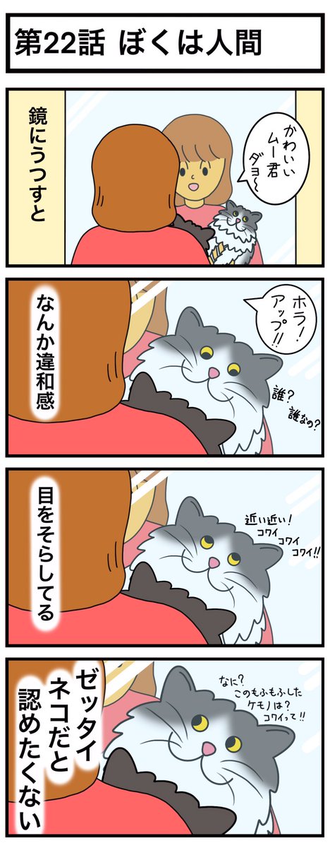 museumuu's tweet photo. ムーのねこ日和　第22話『ぼくは人間』
#ねこ #4コマ #4コマ漫画 #漫画 #漫画が読めるハッシュタグ 
#猫のいる暮らし #猫がいる生活 #猫写真 #落ちる夢 #cat 
#猫好きさんと繋がりたい #猫好き #ムーのねこ日和 #イラスト https://t.co/8hV8SEYNNJ