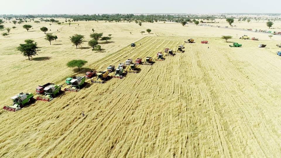 This is what happens when you realize No Nation is doomed to live on aid &amp; handouts. #Ethiopia has what it takes &amp; the best is yet to come! What we have achieved through Ethiopia’s National Wheat Program changed 🇪🇹’s long history of importing Wheat &amp; we are set to begin export.