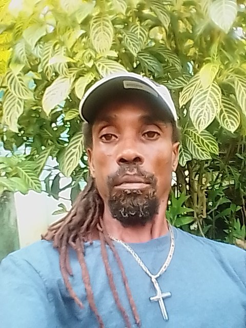 Richard09379181's tweet photo. @DwarriorNFT https://t.co/VFwBOvennq